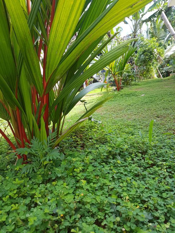 South Heaven Villa Hikkaduwa Exterior foto