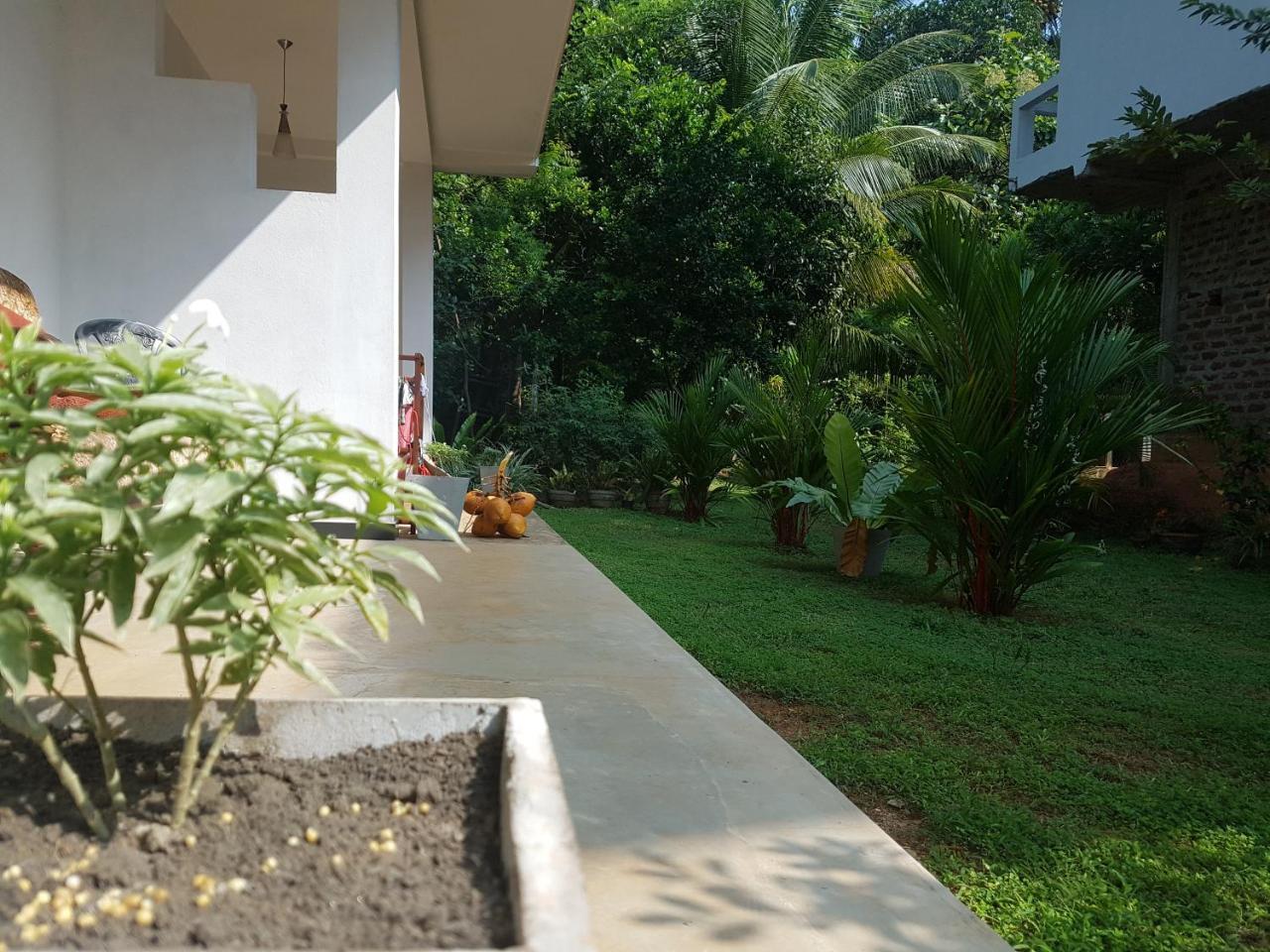 South Heaven Villa Hikkaduwa Exterior foto